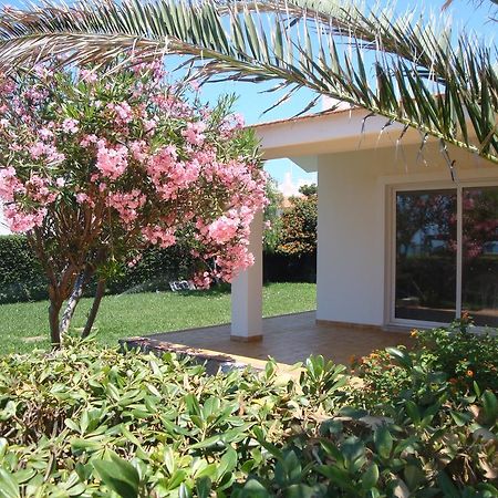 Villa Cala Vigliena Il Sole Negli Occhi Punta Braccetto Habitación foto