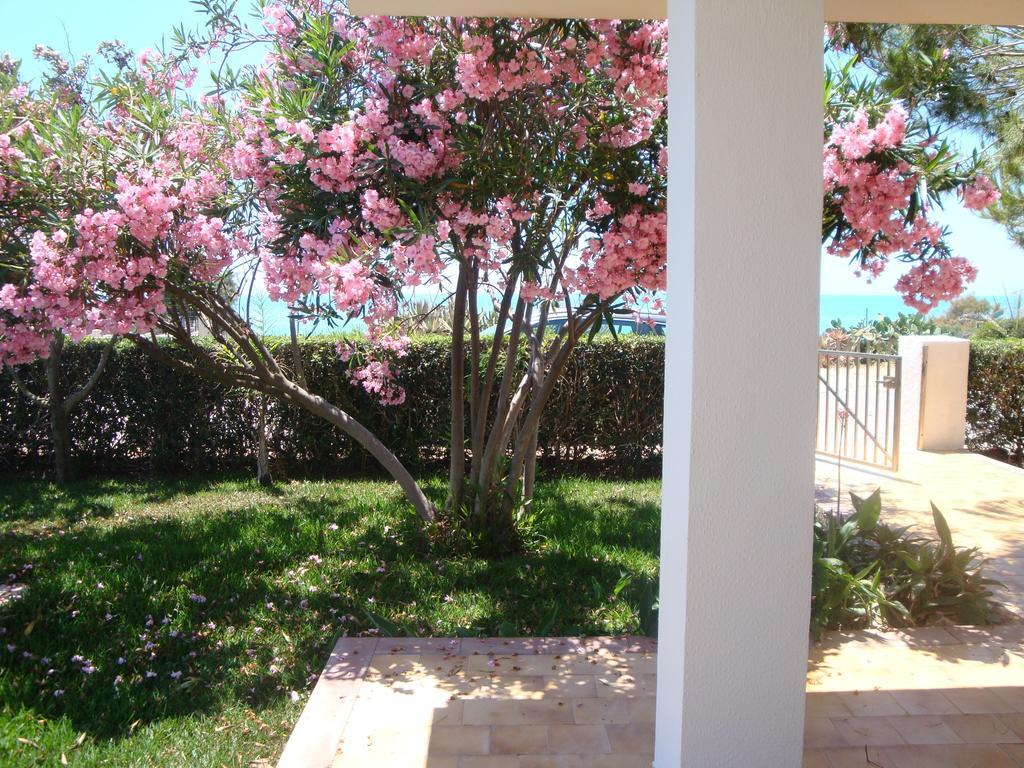 Villa Cala Vigliena Il Sole Negli Occhi Punta Braccetto Habitación foto