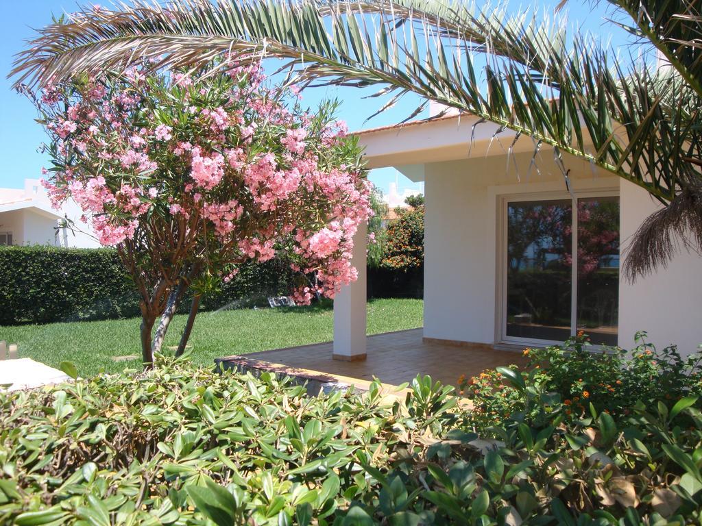 Villa Cala Vigliena Il Sole Negli Occhi Punta Braccetto Habitación foto